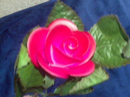 Porzellan rose von kaiser - porzellan,